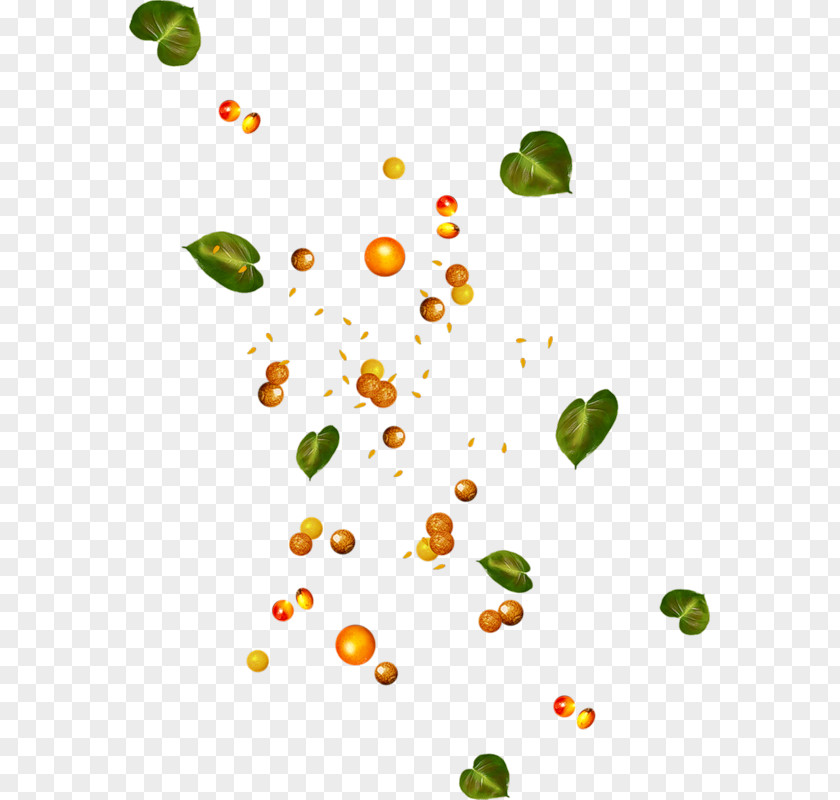 Leaf Petal Clip Art Fruit PNG