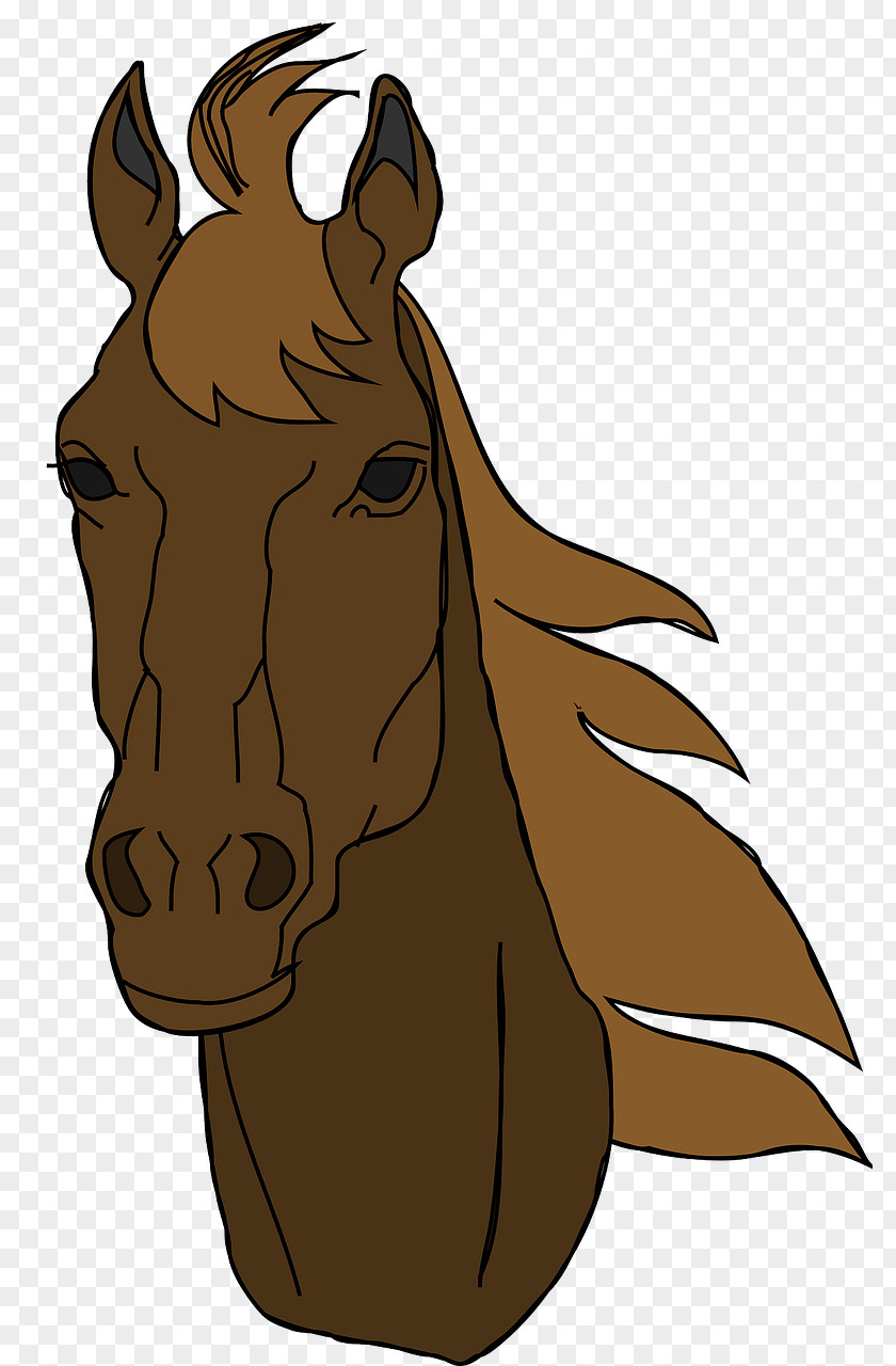Mustang Arabian Horse American Quarter Clip Art PNG