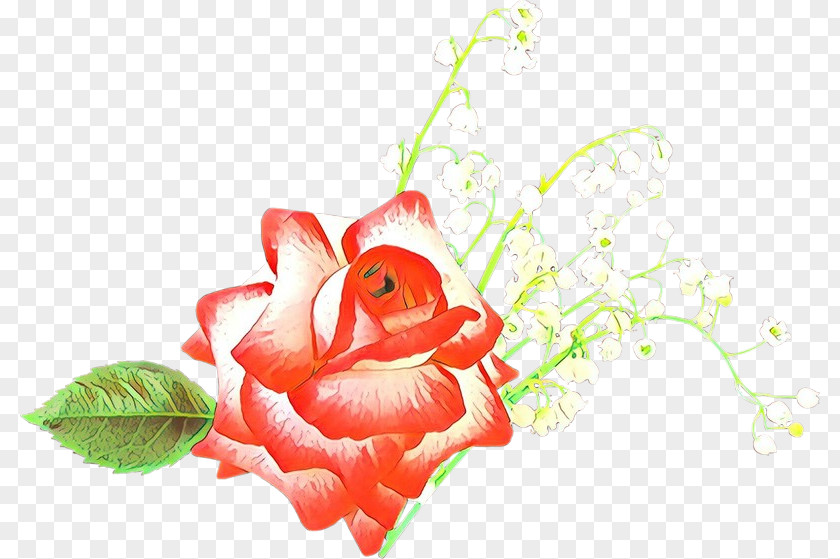 Rose Plant Garden Roses PNG