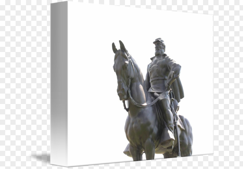 Stallion Statue Figurine Condottiere PNG