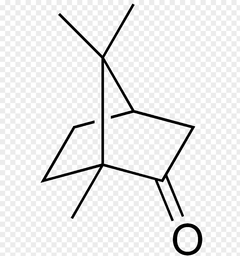 Camphor Tree Bornane-2,3-dione Terpene Terpenoid PNG