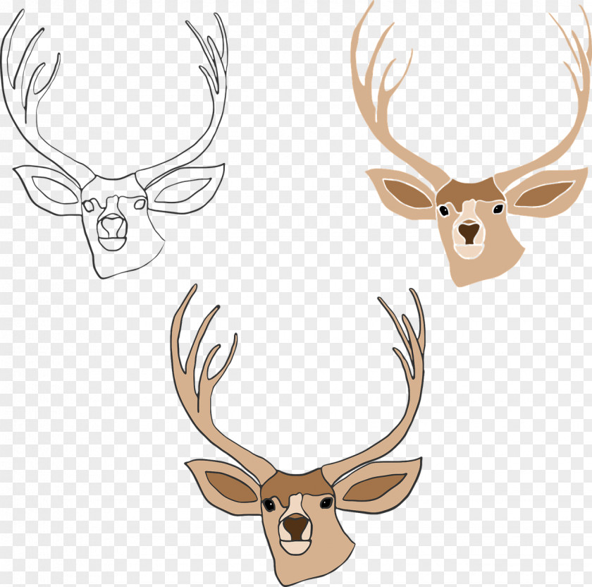 Deer Elk Red Reindeer Horn PNG