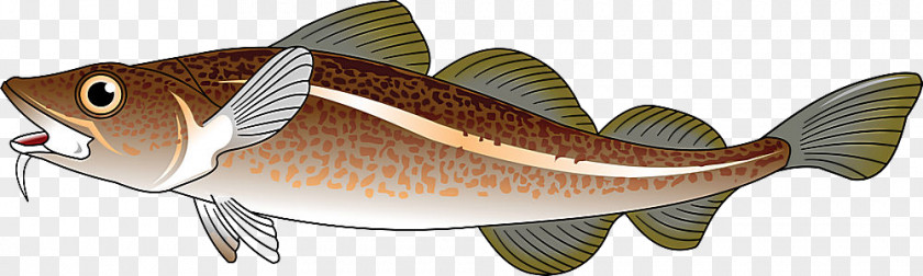 Fish Cod PNG