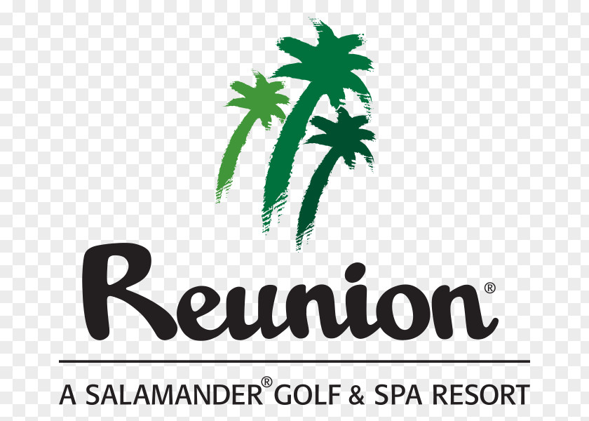Golf Stick Reunion, Florida Walt Disney World Orlando Reunion Resort PNG