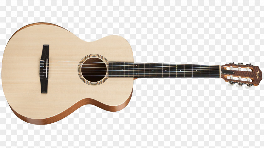 Guitar Fender Precision Bass Classical Acoustic PNG