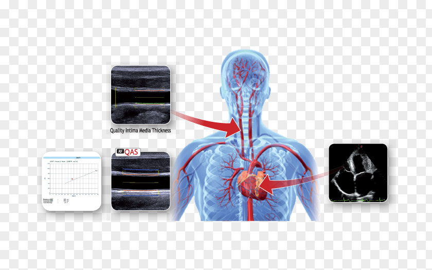 Health Care Sports Medicine Ultrasonography PNG