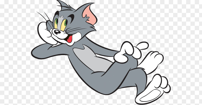 Kitten Whiskers Jerry Mouse Tom And Cat PNG
