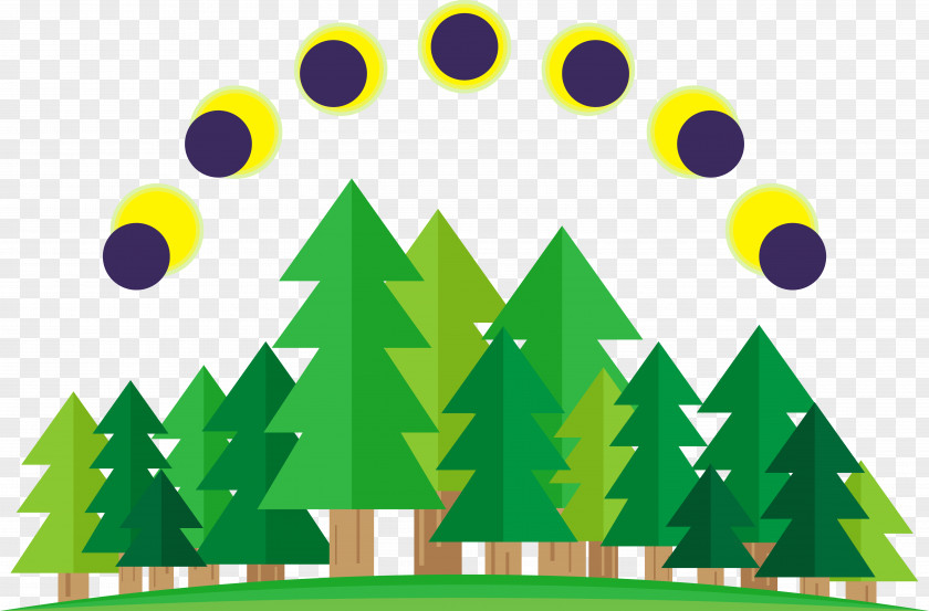 Pine Sun Solar Eclipse Illustration PNG