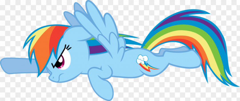 Pony Rainbow Dash Fluttershy PNG