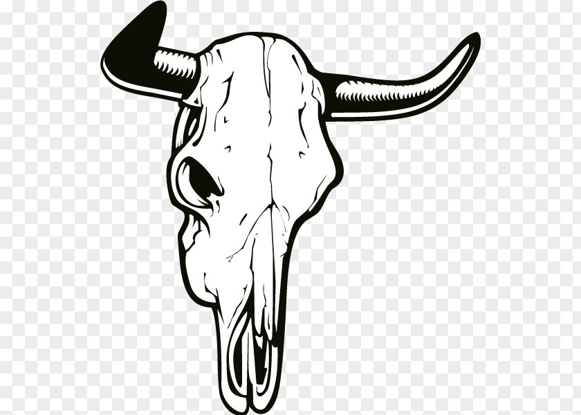 Skull Cattle Drawing Clip Art PNG