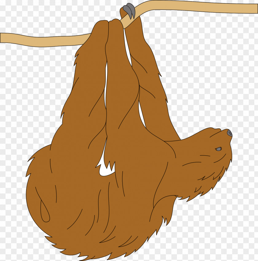 Sloth Borders And Frames Clip Art PNG