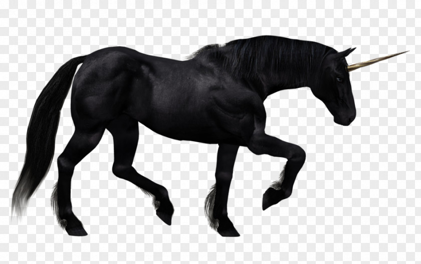 Unicorn The Black Horse Pegasus PNG
