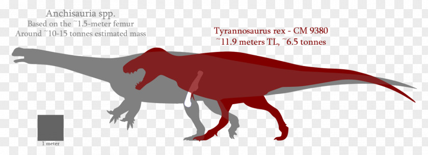 Animal Planet Dinosaur Toys Tyrannosaurus Velociraptor Cartoon Font PNG