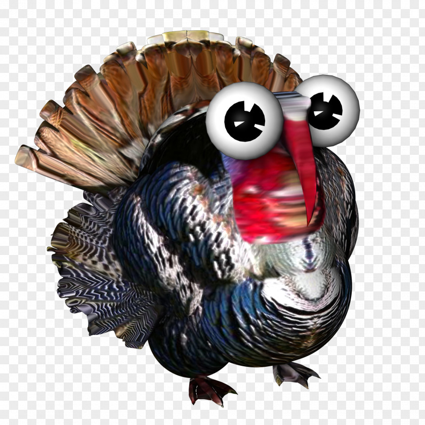 Farmerama Turkey Bigpoint Games Galliformes .de PNG