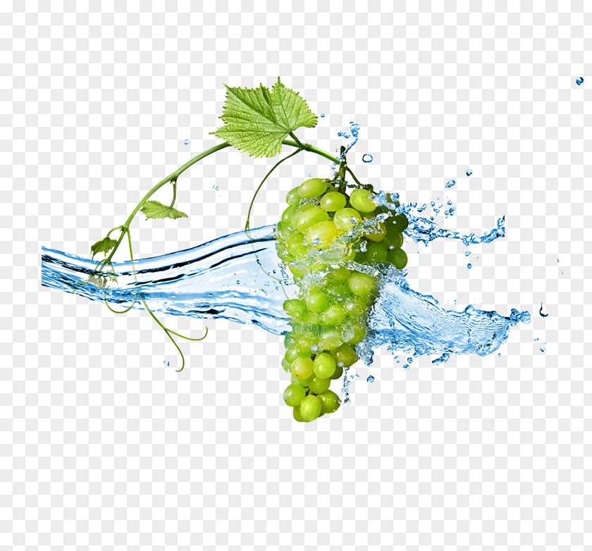 Green Grapes Grape Stock Photography Fruit Berry Wallpaper PNG