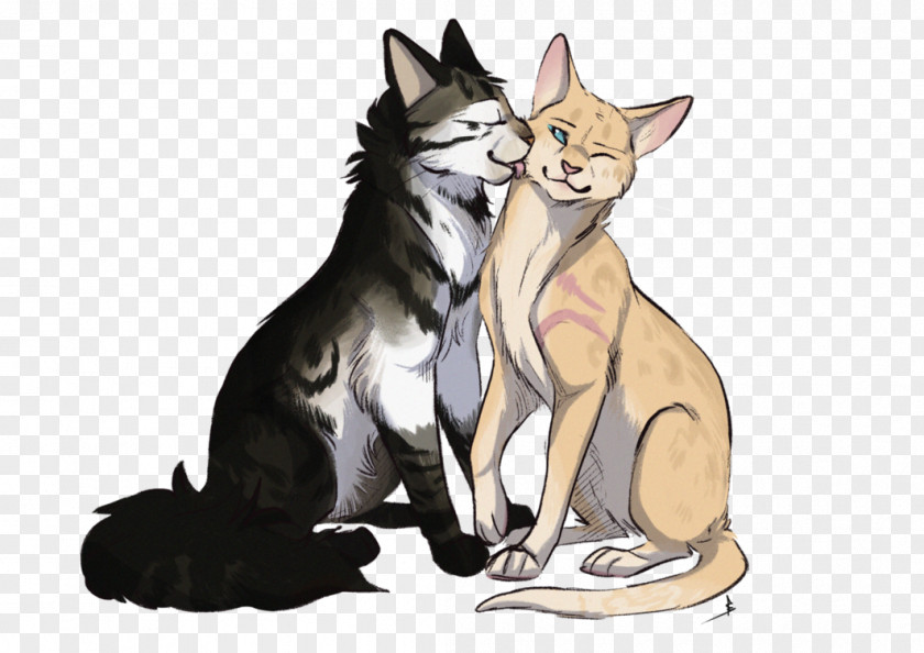 Kitten Whiskers Dog Cat Warriors PNG