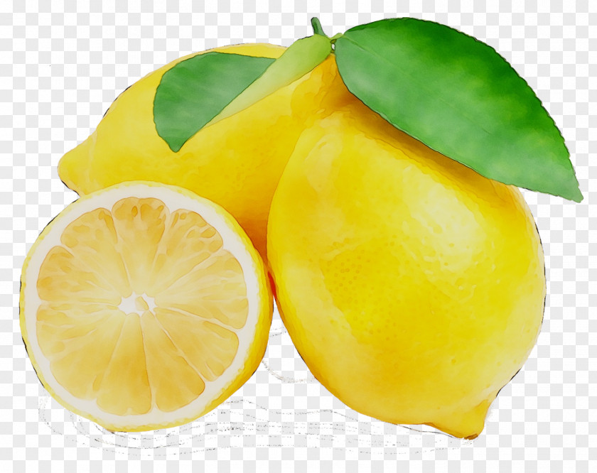 Lemon Key Lime Citron Rangpur PNG