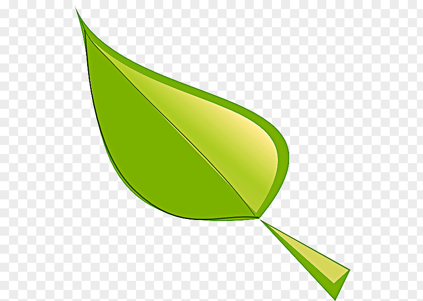 Logo Plant Leaf Green Clip Art PNG