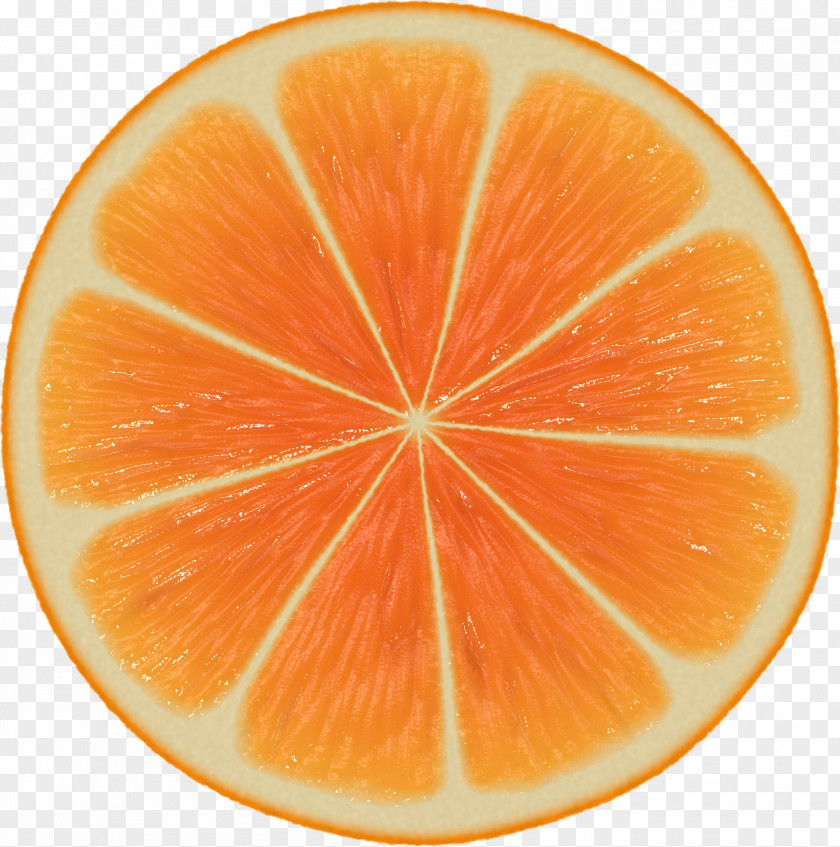 Orange Image Download Slice Mathematics Symmetry Patterns In Nature PNG
