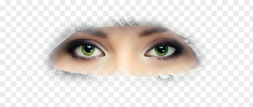 Sore Eyes Iris Eyebrow Color Painting PNG