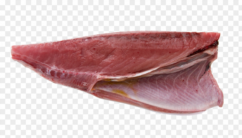 A Tuna Fish Thunnus Sushi Sashimi Japanese Cuisine PNG