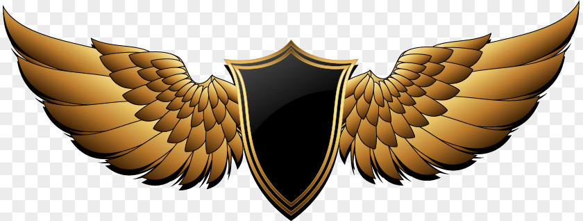 Abstract Wings Logo Design PFC Berkut Armyansk Buffalo Wing FC Ocean Kerch PNG
