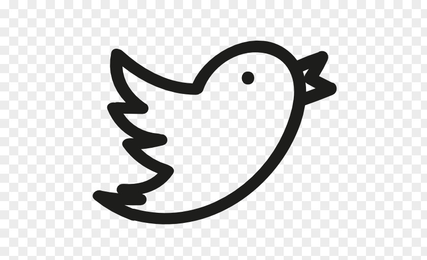 Bird Logo Samples Social Media Network Digital Marketing PNG