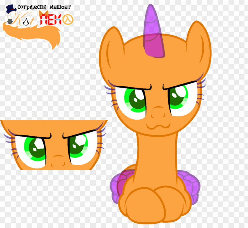 Cat My Little Pony Drawing Horse PNG