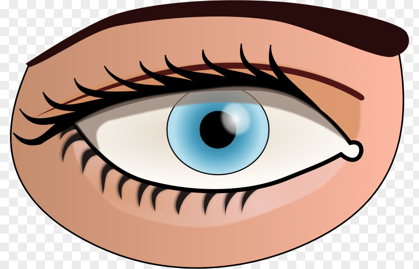 Eye Clip Art Human Openclipart Free Content PNG