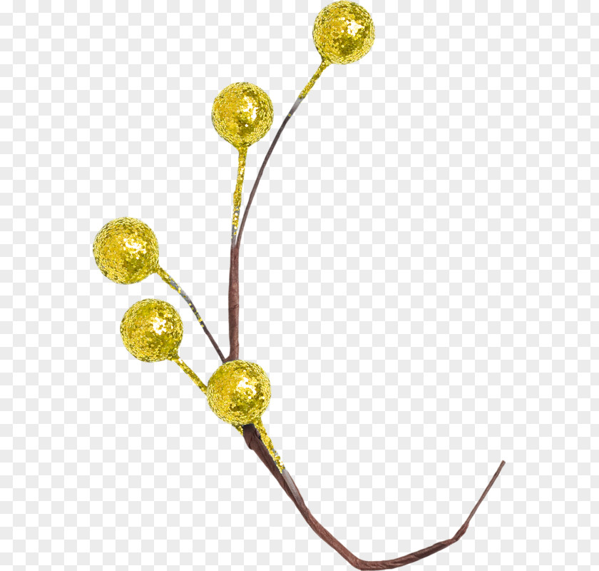 Flower Body Jewellery PNG