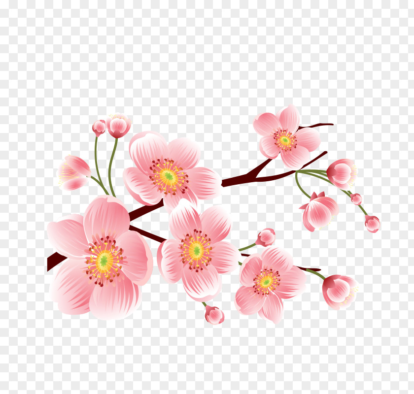 Hand-painted Peach Vector Material Cartoon PNG