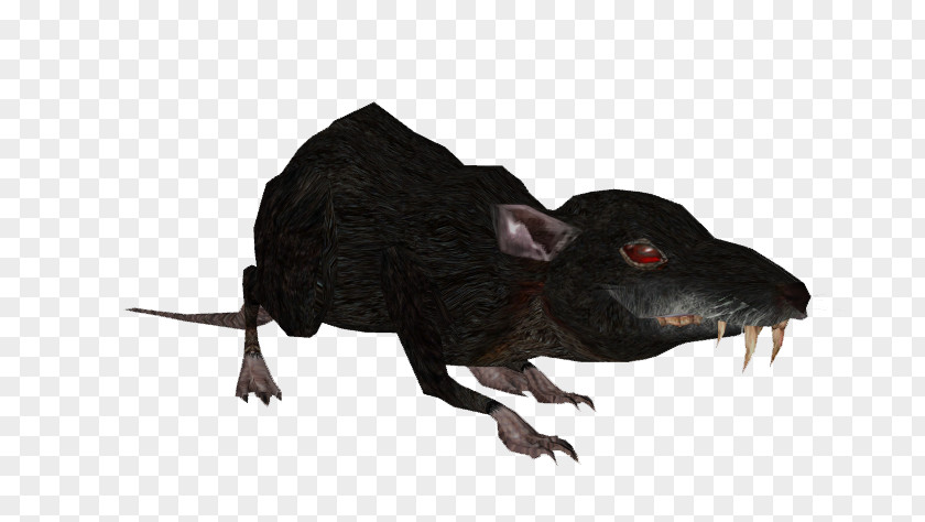 Rat Cave Reptile Terrestrial Animal Snout PNG