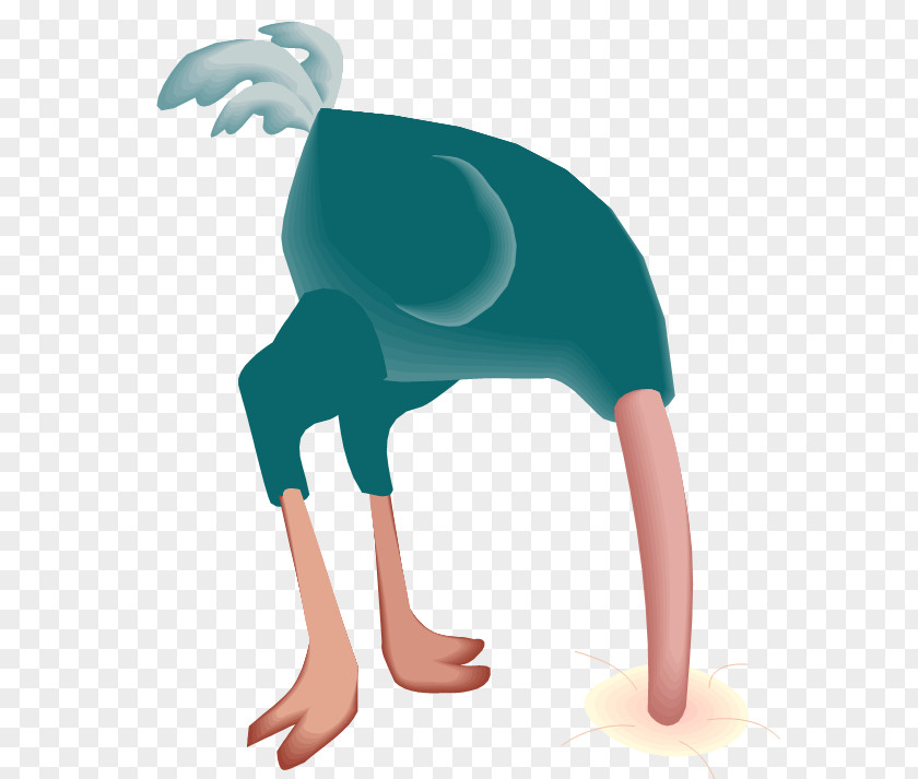 Sand Vector Graphics Cartoon Common Ostrich Clip Art PNG