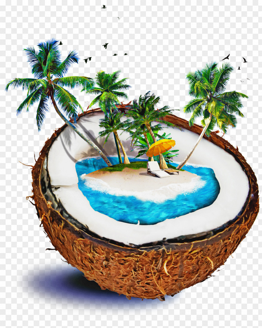 Vacation Coconut Tree Cartoon PNG