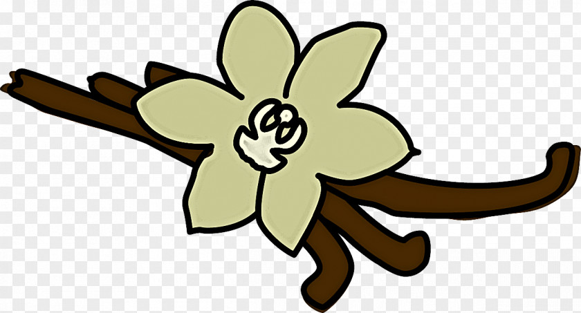 Yellow Flower Plant Petal Narcissus PNG