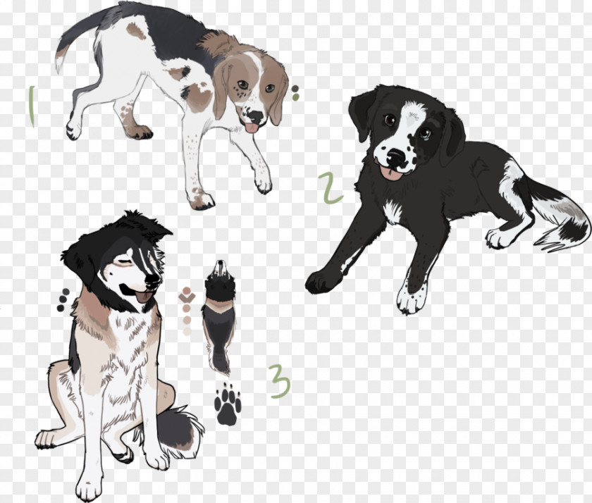 Border Collie Labrador Mix Dog Breed Puppy Leash Paw PNG