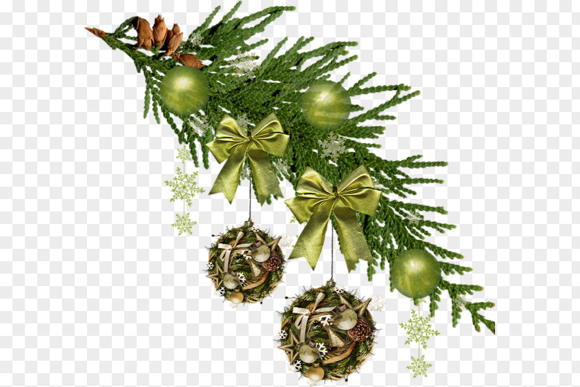 Christmas Tree Ornament Fir Decoration PNG