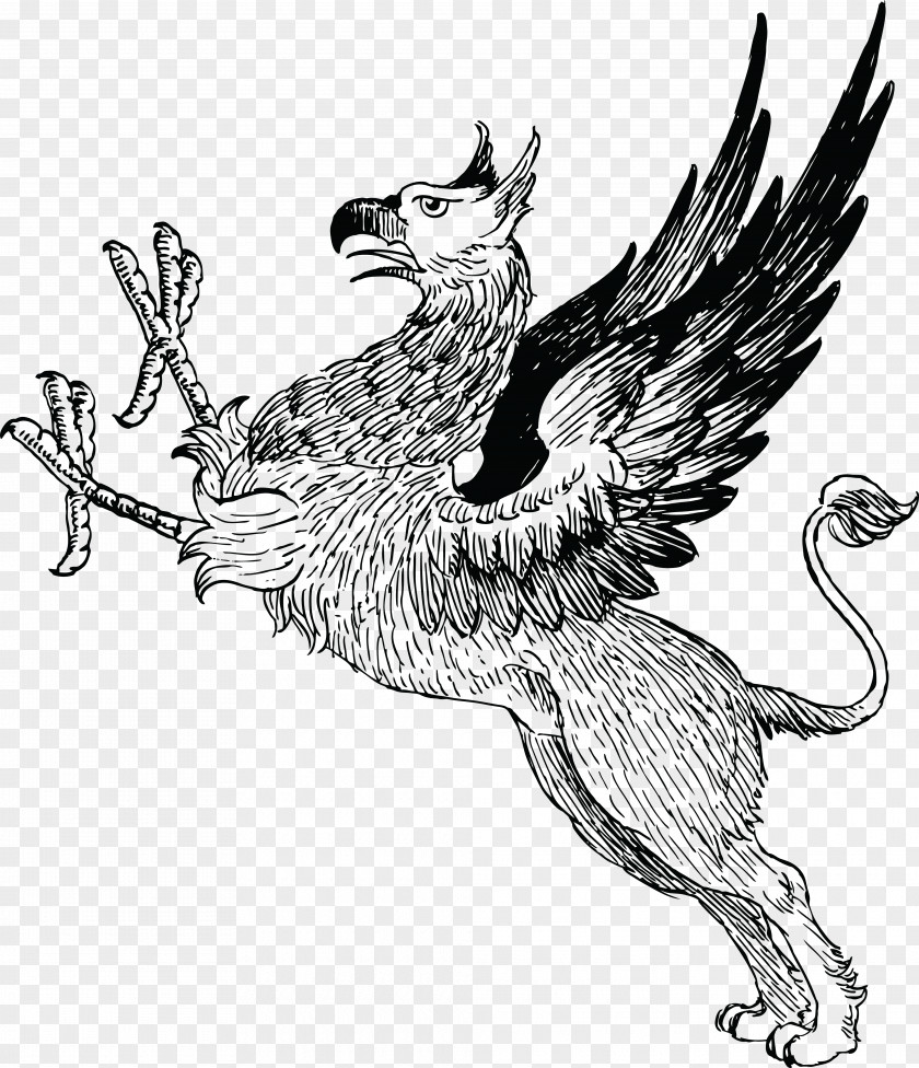Griffin Legendary Creature Mythology Winged Lion Clip Art PNG