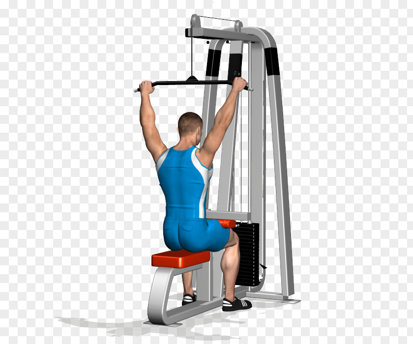 Neck Muscle Pulldown Exercise Weight Training Latissimus Dorsi PNG