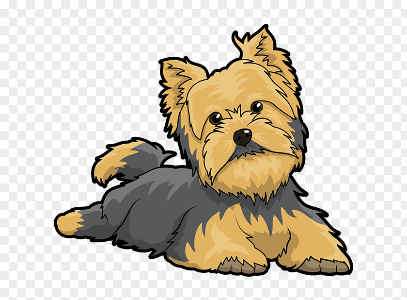 Puppy Yorkshire Terrier Cairn Australian Silky Clip Art PNG