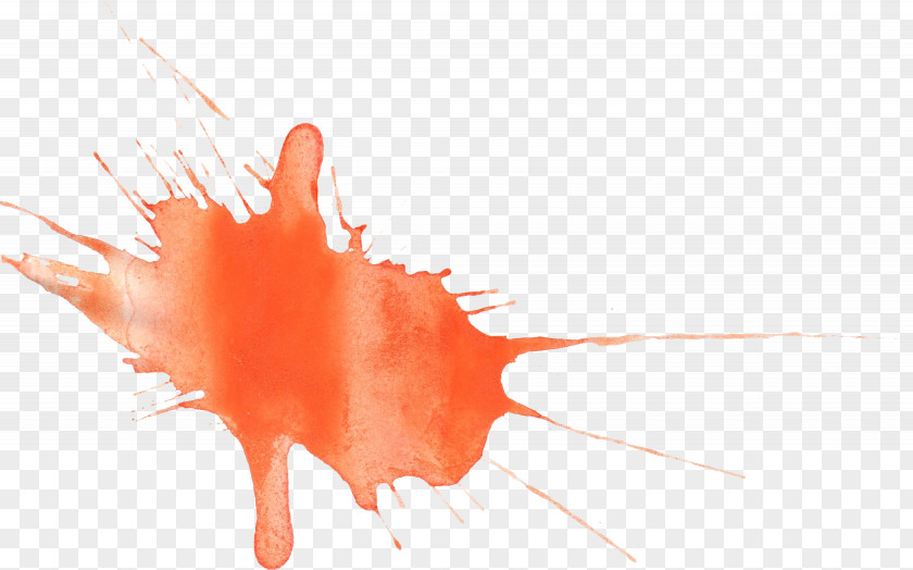 Splatter Watercolor Painting Film Clip Art PNG