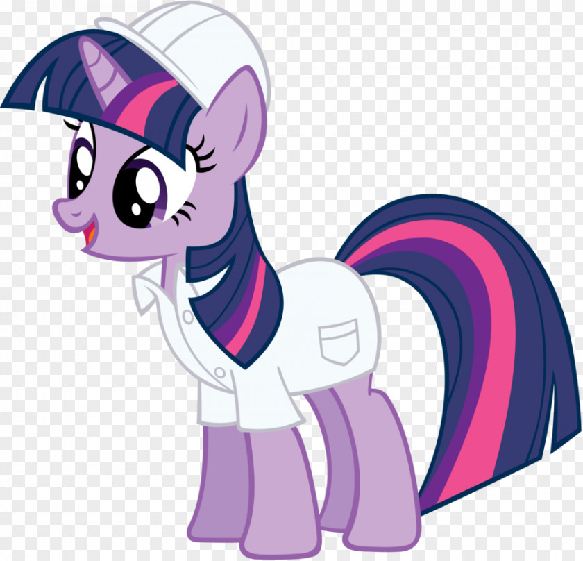 Stand For 30 Minutes Twilight Sparkle Pony Rainbow Dash Pinkie Pie Rarity PNG