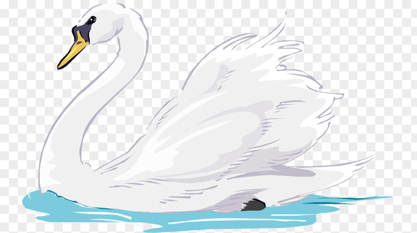 Swan Mute Duck Animation Clip Art PNG