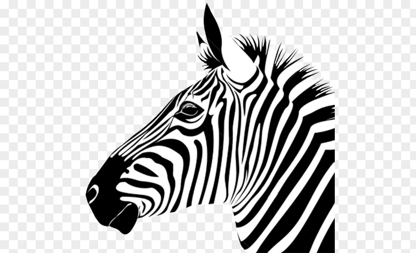 T-shirt Zebra Horse Zazzle Clothing PNG