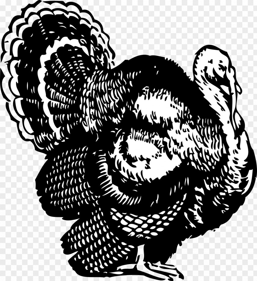 Turkey Bird Meat Thanksgiving Clip Art PNG