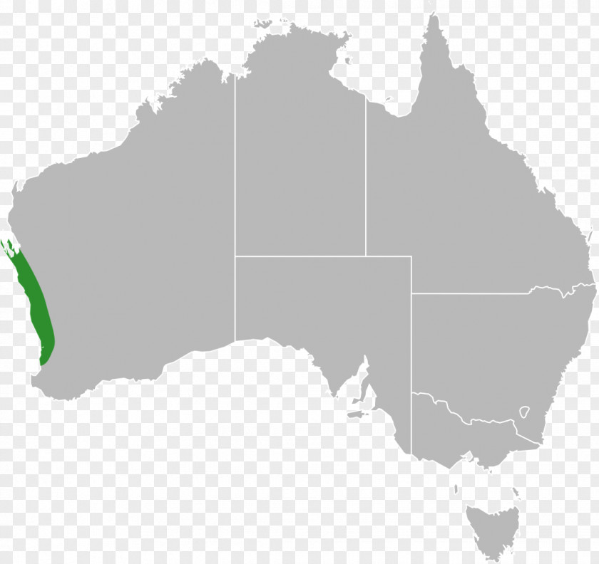 Australia New South Wales United States Vector Map Royalty-free PNG