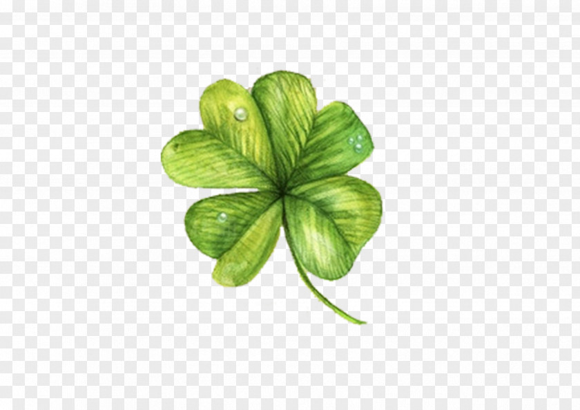 Clover Painted Four-leaf Computer File PNG