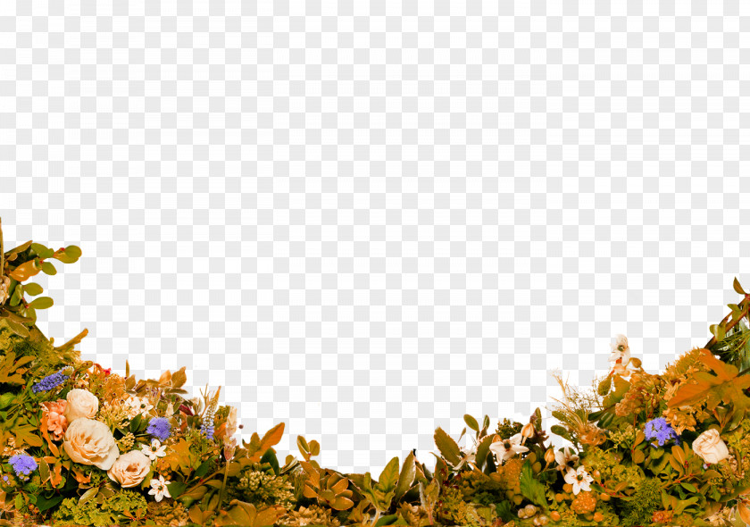 Flowers And Bush Decoration Border Texture Green PNG