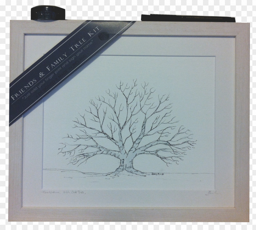 Hand Drawn Tree Drawing Picture Frames /m/02csf Rectangle Font PNG