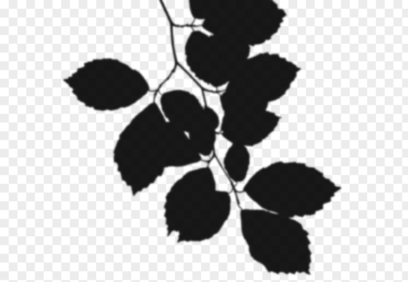 M Pattern Silhouette Fruit Leaf Black & White PNG